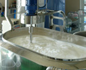 チーズ作りの工程2：低温殺菌